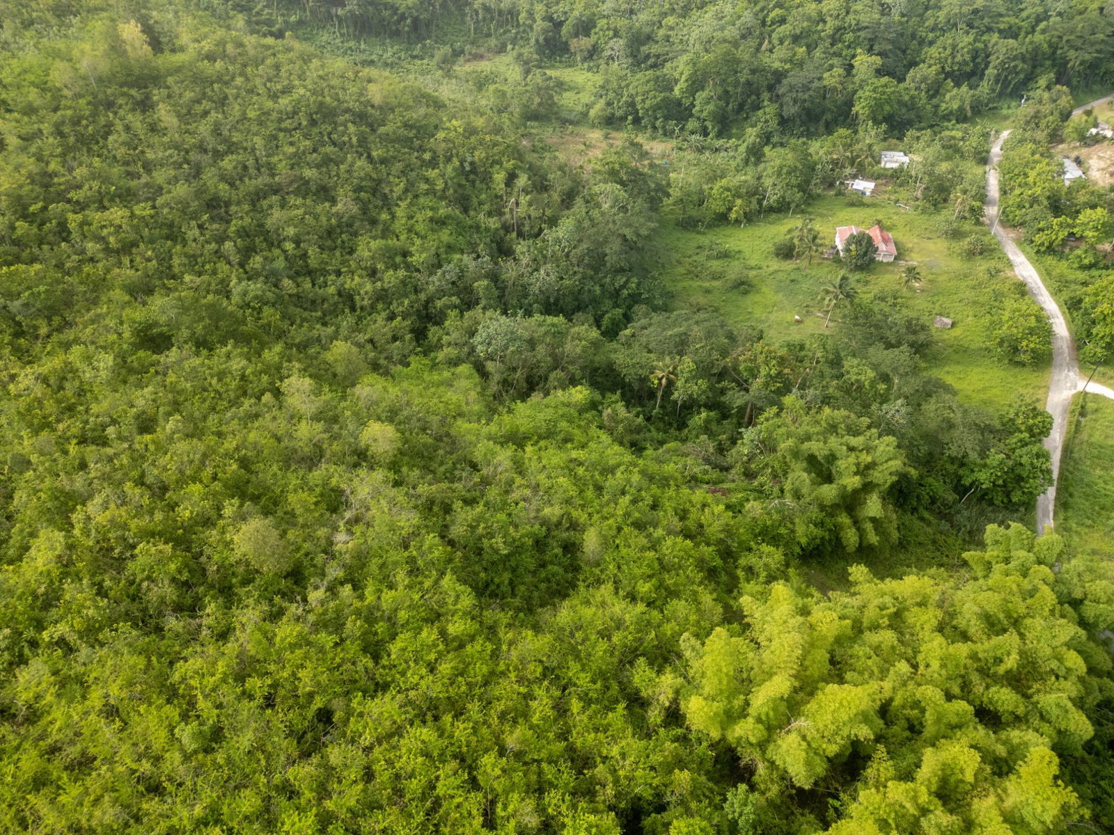 Sixteenth image of West Prospect Main Road in West Prospect, St. Catherine, Jamaica - property is For Sale