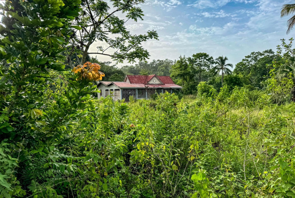 Eighteenth image of West Prospect Main Road in West Prospect, St. Catherine, Jamaica - property is For Sale