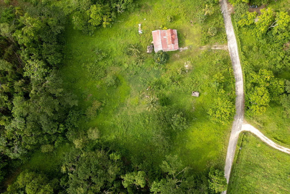 Fifth image of West Prospect Main Road in West Prospect, St. Catherine, Jamaica - property is For Sale