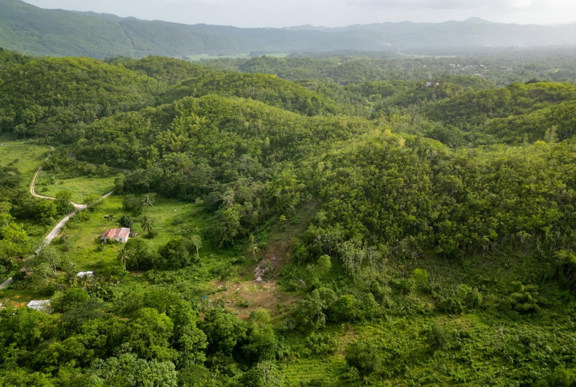 Seventh image of West Prospect Main Road in West Prospect, St. Catherine, Jamaica - property is For Sale