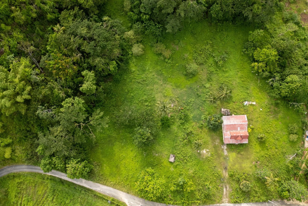 Ninth image of West Prospect Main Road in West Prospect, St. Catherine, Jamaica - property is For Sale