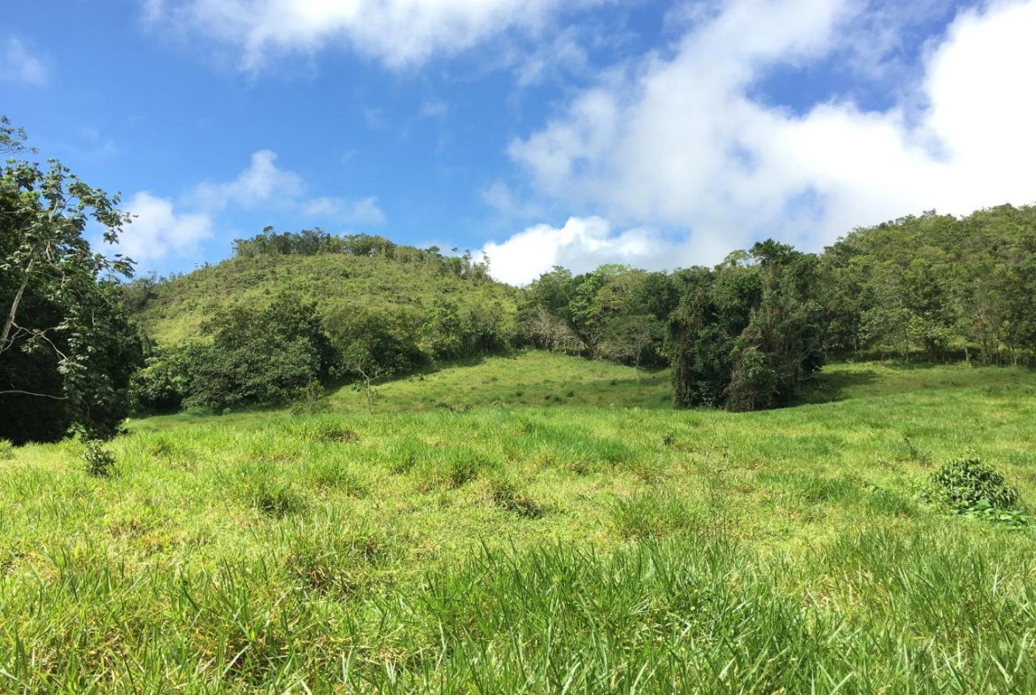 Third image of Chippenham Park, Bamboo in Bamboo, St. Ann, Jamaica - property is For Sale