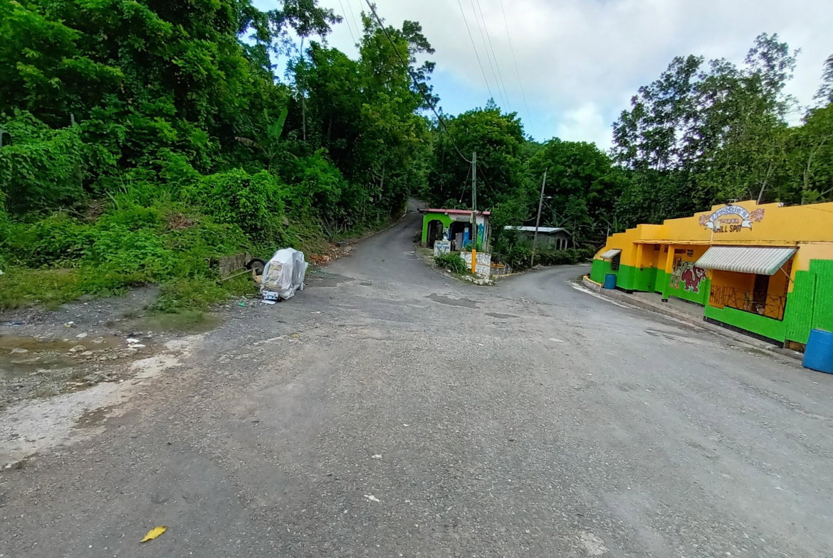 Second image of Pear Tree River in Pear Tree River, St. Thomas, Jamaica - property is For Sale
