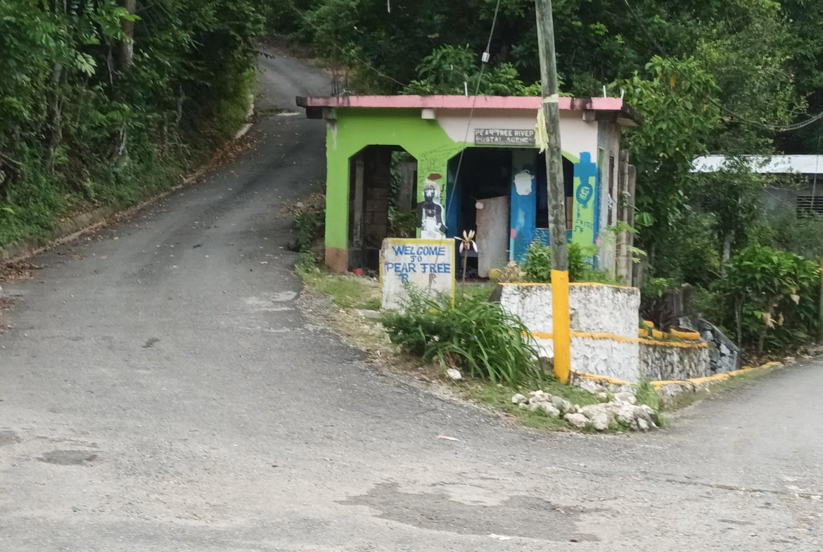Third image of Pear Tree River in Pear Tree River, St. Thomas, Jamaica - property is For Sale