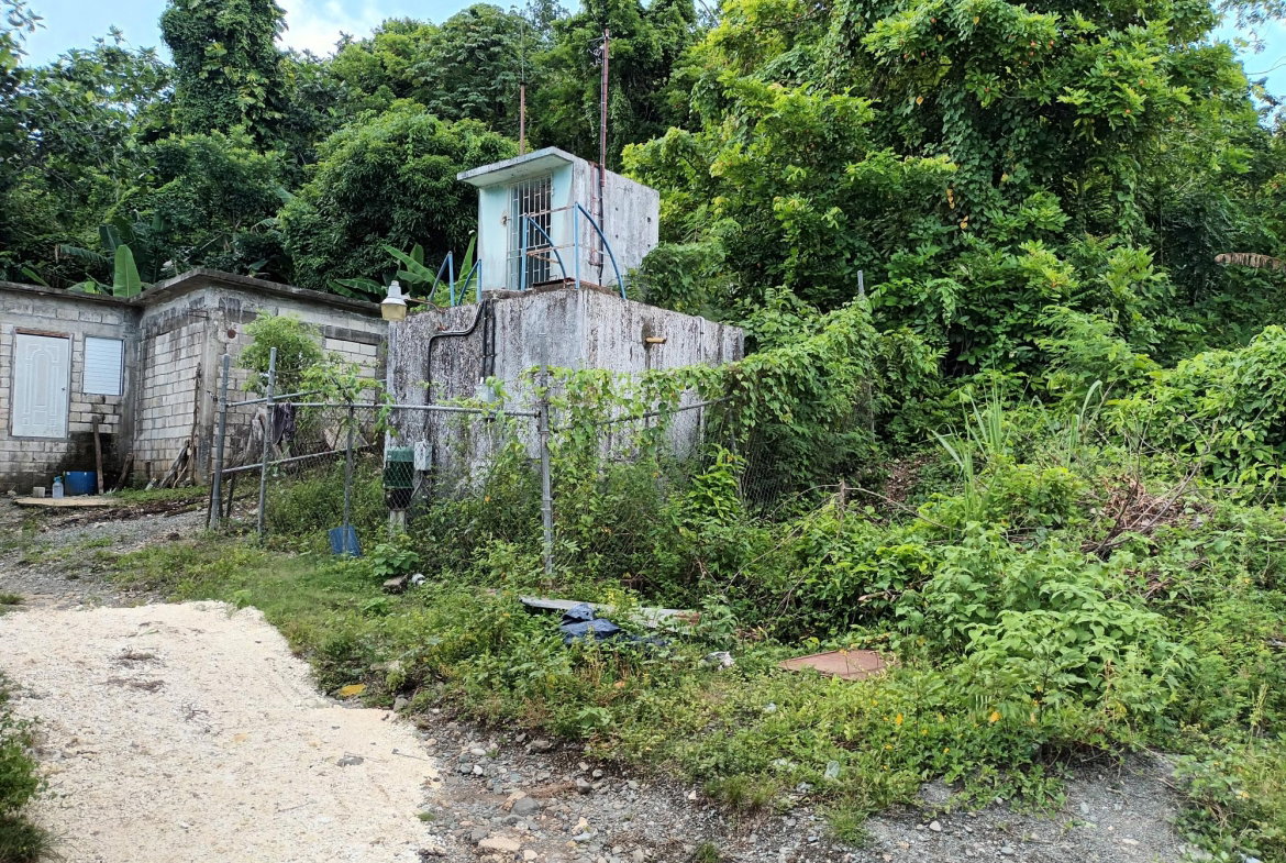 Fourth image of Pear Tree River in Pear Tree River, St. Thomas, Jamaica - property is For Sale