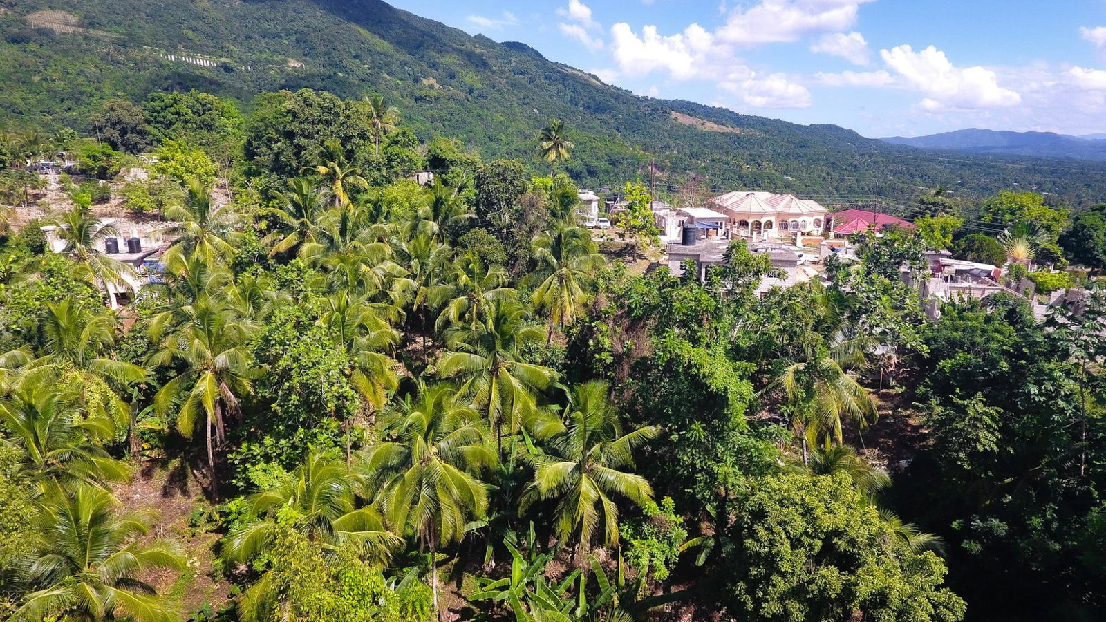 Third image of Sportsman in Linstead, St. Catherine, Jamaica - property is For Sale