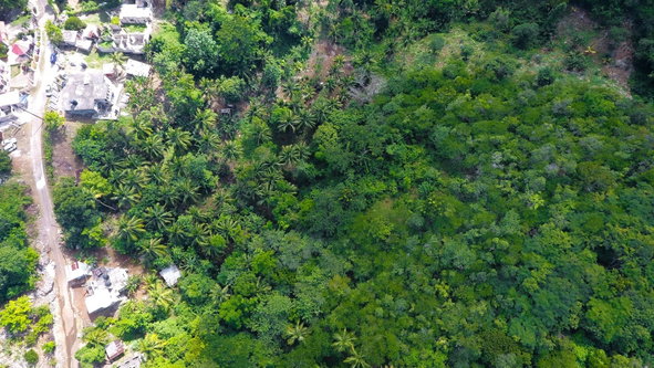 Fifth image of Sportsman in Linstead, St. Catherine, Jamaica - property is For Sale
