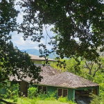 First image of 6-8 Coke Ave, Brandon Hill,st in Montego Bay, St. James, Jamaica - property is For Sale
