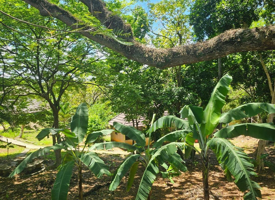 Fifth image of 6-8 Coke Ave, Brandon Hill,st in Montego Bay, St. James, Jamaica - property is For Sale