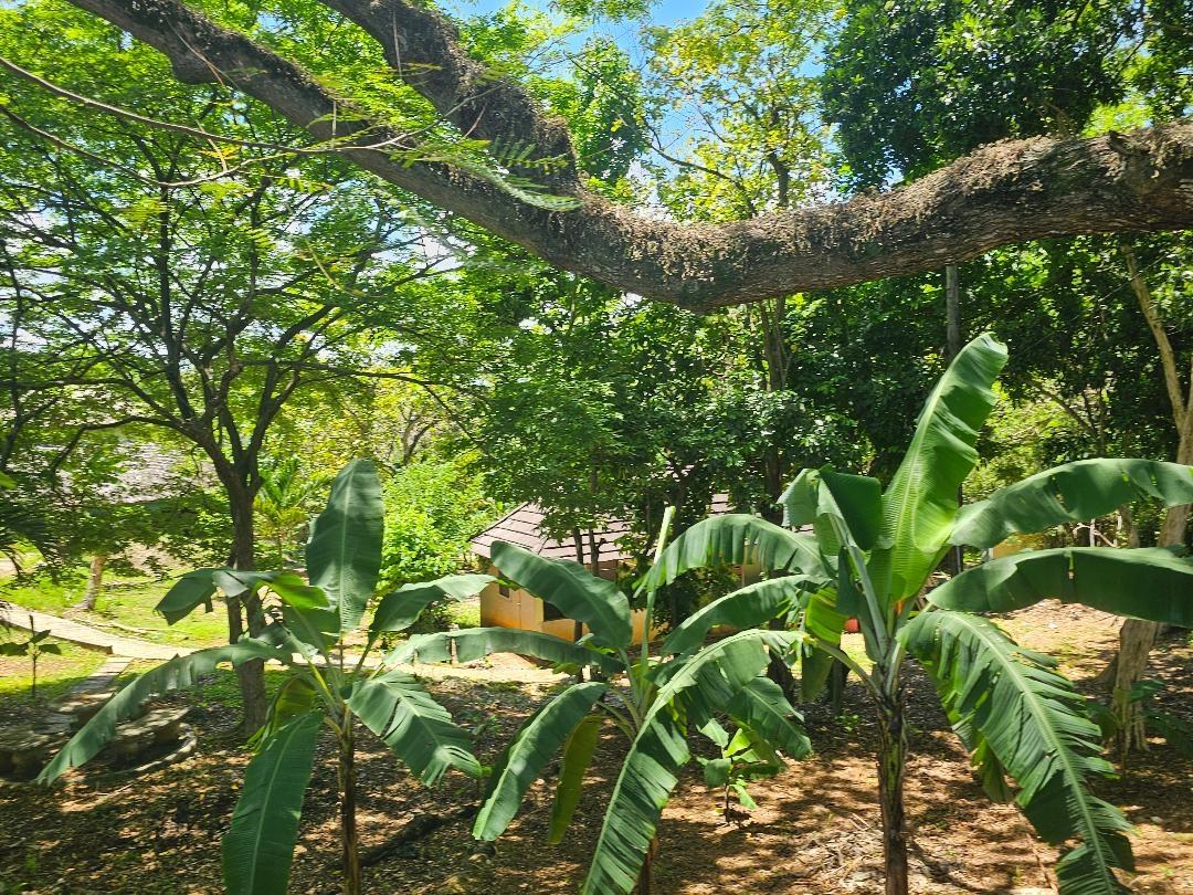 3-Acres-of-Prime-Development-Land-for-Sale-in-Brandon-Hill-Jamaica Fifth image of 6-8 Coke Ave, Brandon Hill,st in Montego Bay, St. James, Jamaica - property is For Sale