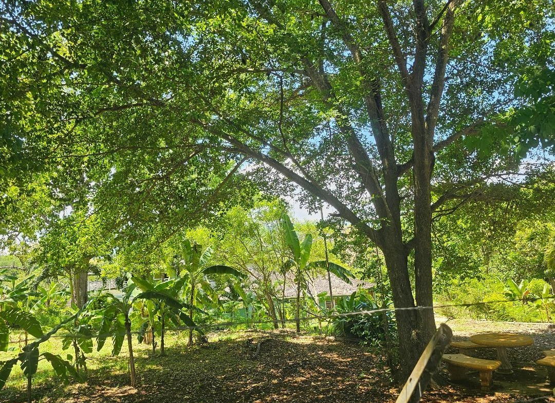 Sixth image of 6-8 Coke Ave, Brandon Hill,st in Montego Bay, St. James, Jamaica - property is For Sale