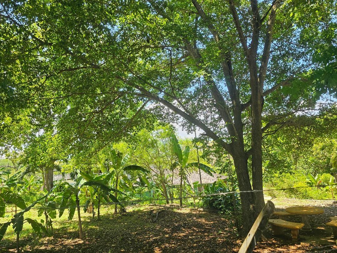 3-Acres-of-Prime-Development-Land-for-Sale-in-Brandon-Hill-Jamaica Sixth image of 6-8 Coke Ave, Brandon Hill,st in Montego Bay, St. James, Jamaica - property is For Sale