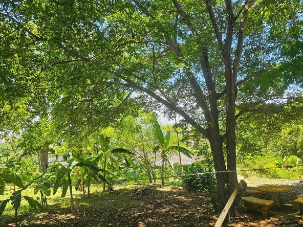 Sixth image of 6-8 Coke Ave, Brandon Hill,st in Montego Bay, St. James, Jamaica - property is For Sale