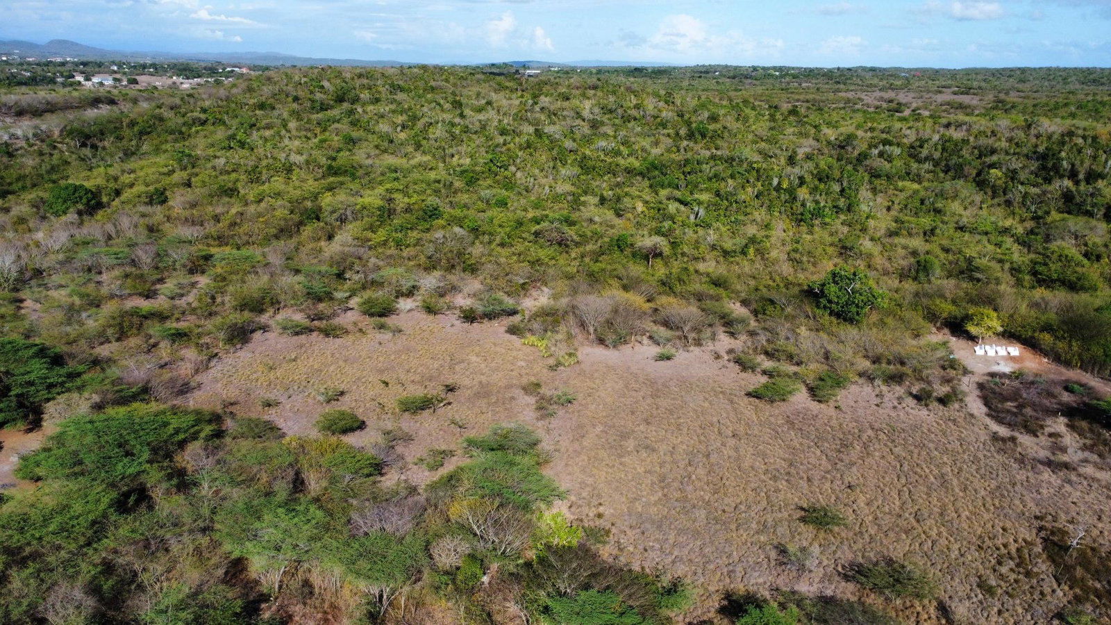 Twelfth image of Hunts Pen in Palmers Cross, Clarendon, Jamaica - property is For Sale