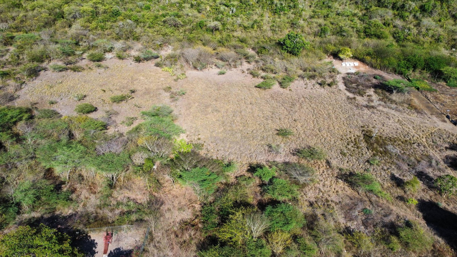 Thirteenth image of Hunts Pen in Palmers Cross, Clarendon, Jamaica - property is For Sale