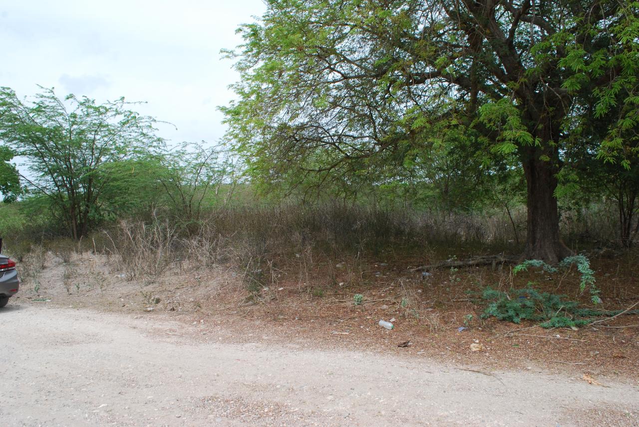 Third image of Hunts Pen in Palmers Cross, Clarendon, Jamaica - property is For Sale