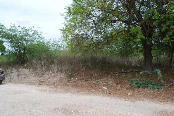 Third image of Hunts Pen in Palmers Cross, Clarendon, Jamaica - property is For Sale