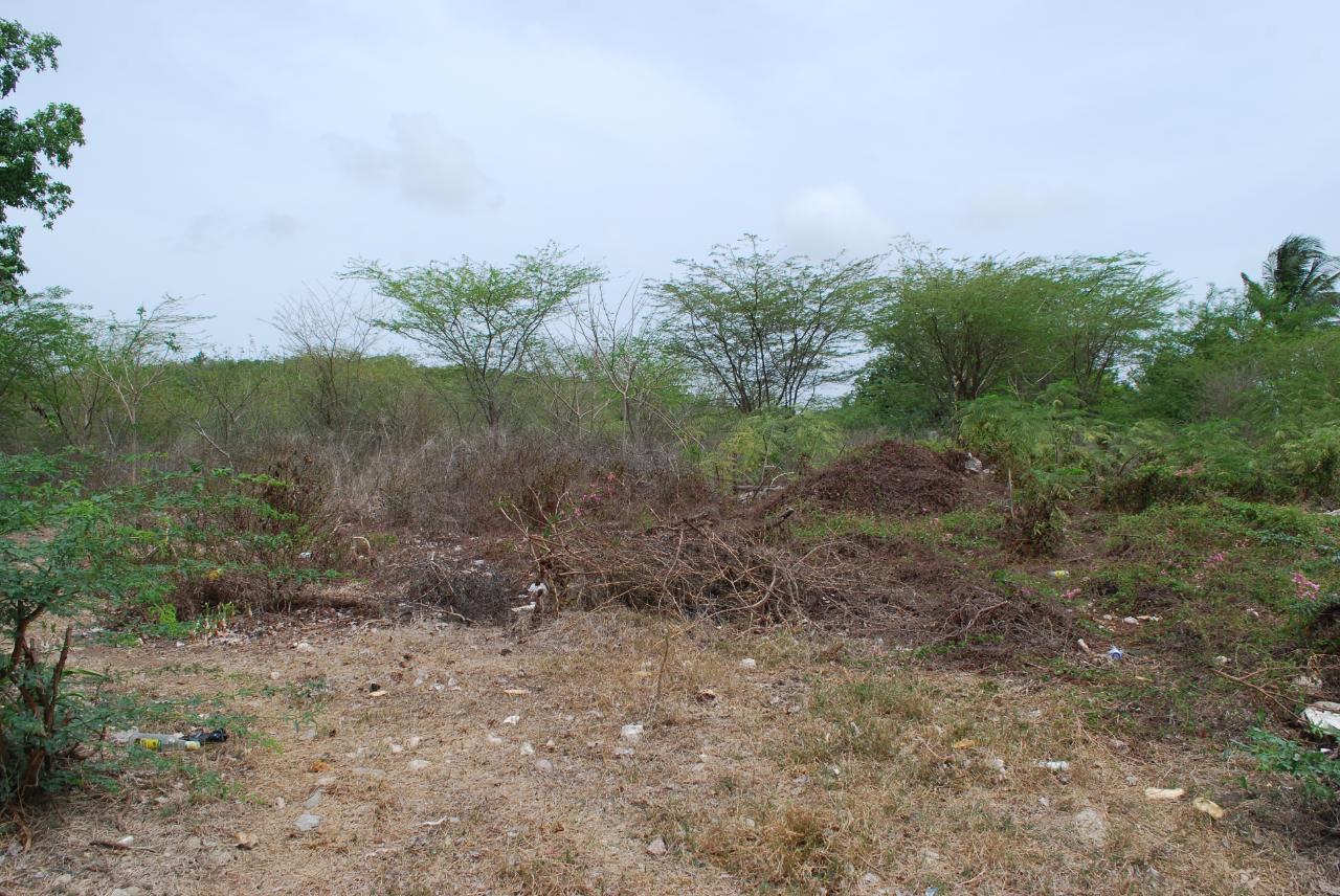 Eighth image of Hunts Pen in Palmers Cross, Clarendon, Jamaica - property is For Sale
