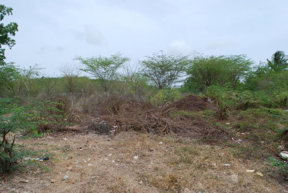 Eighth image of Hunts Pen in Palmers Cross, Clarendon, Jamaica - property is For Sale