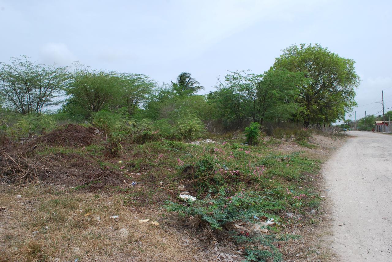 Ninth image of Hunts Pen in Palmers Cross, Clarendon, Jamaica - property is For Sale