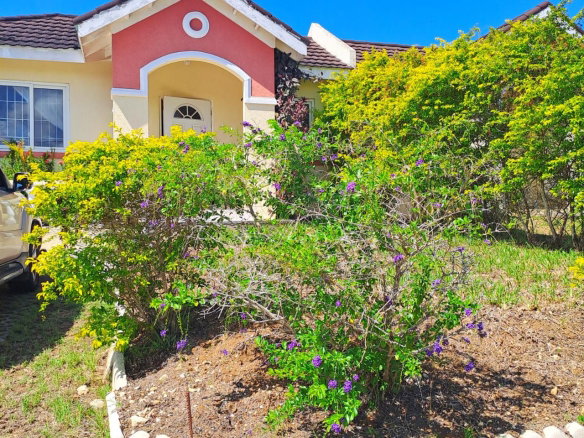 First image of Holland Estate in HOLLAND ESTATE, Trelawny, Jamaica - property is For Rent