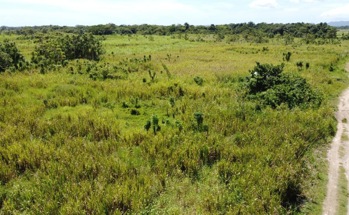 Twelfth image of 161- Bath Pen, Sav in Savanna-La-Mar, Westmoreland, Jamaica - property is For Sale