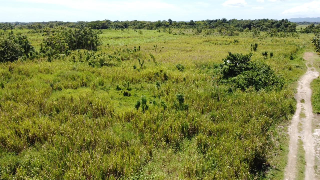 Twelfth image of 161- Bath Pen, Sav in Savanna-La-Mar, Westmoreland, Jamaica - property is For Sale
