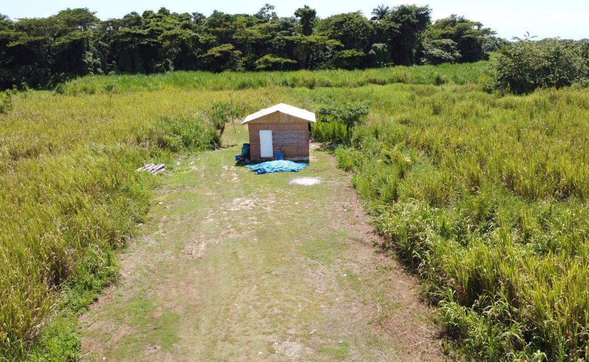 Thirteenth image of 161- Bath Pen, Sav in Savanna-La-Mar, Westmoreland, Jamaica - property is For Sale