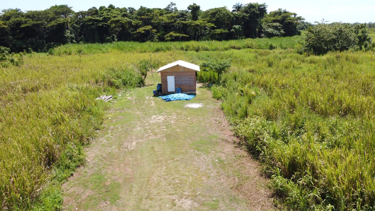 Thirteenth image of 161- Bath Pen, Sav in Savanna-La-Mar, Westmoreland, Jamaica - property is For Sale