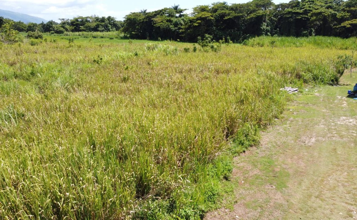 Fourteenth image of 161- Bath Pen, Sav in Savanna-La-Mar, Westmoreland, Jamaica - property is For Sale