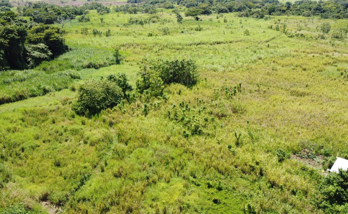 Fourth image of 161- Bath Pen, Sav in Savanna-La-Mar, Westmoreland, Jamaica - property is For Sale