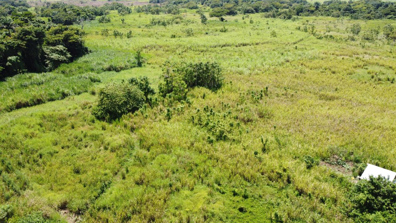 Fourth image of 161- Bath Pen, Sav in Savanna-La-Mar, Westmoreland, Jamaica - property is For Sale
