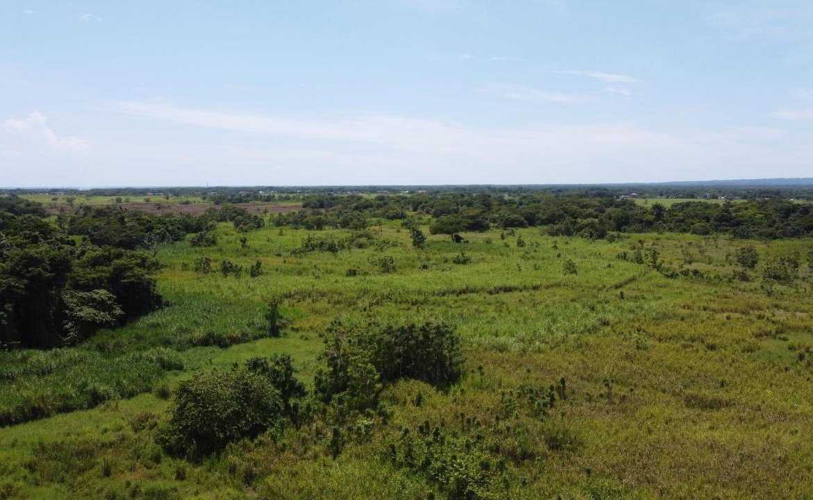 Fifth image of 161- Bath Pen, Sav in Savanna-La-Mar, Westmoreland, Jamaica - property is For Sale