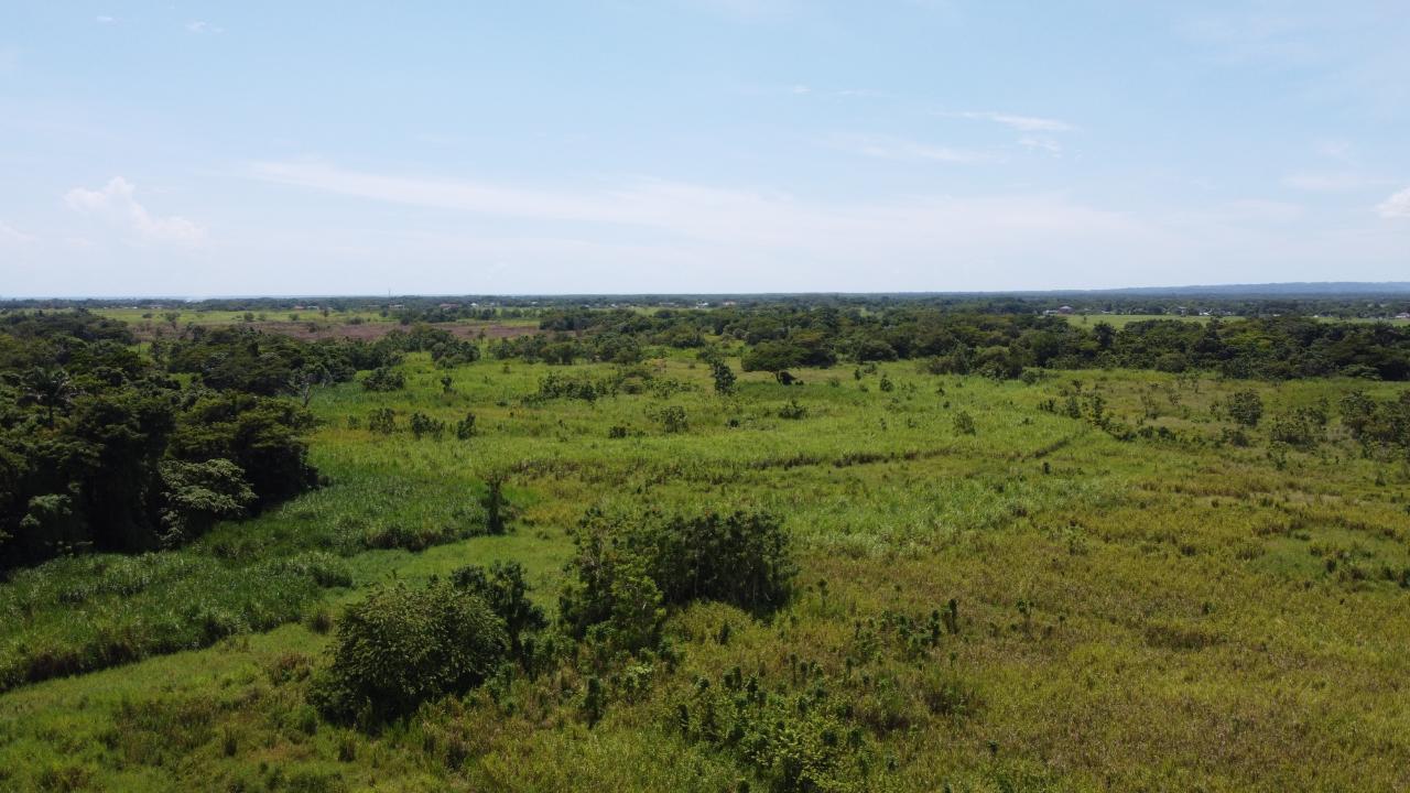 Fifth image of 161- Bath Pen, Sav in Savanna-La-Mar, Westmoreland, Jamaica - property is For Sale