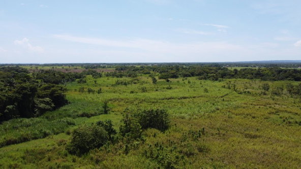 Fifth image of 161- Bath Pen, Sav in Savanna-La-Mar, Westmoreland, Jamaica - property is For Sale