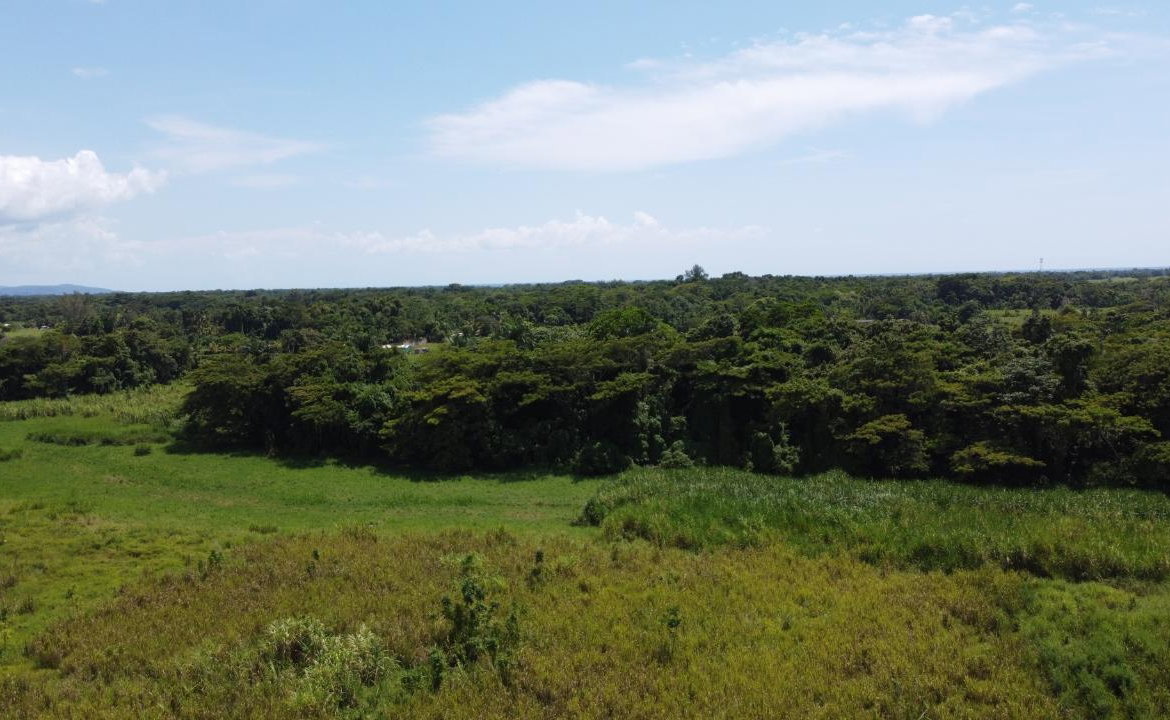 Sixth image of 161- Bath Pen, Sav in Savanna-La-Mar, Westmoreland, Jamaica - property is For Sale
