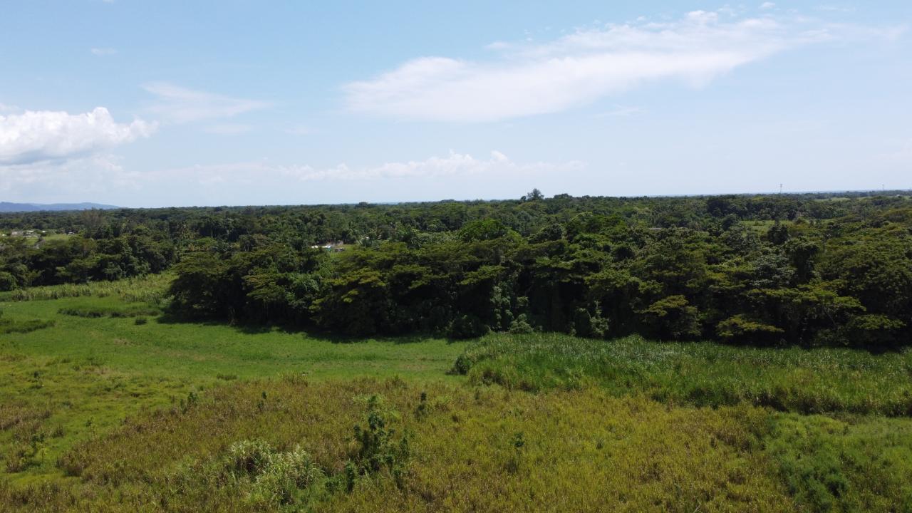 Sixth image of 161- Bath Pen, Sav in Savanna-La-Mar, Westmoreland, Jamaica - property is For Sale