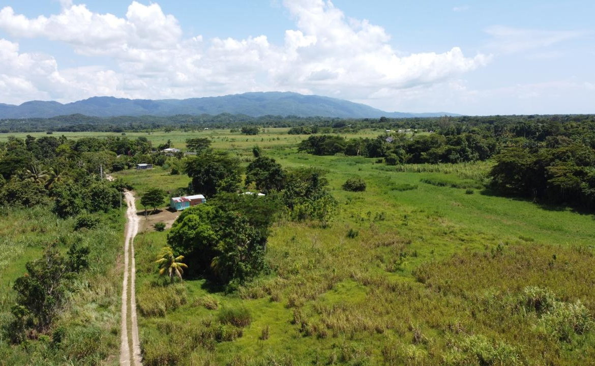 Seventh image of 161- Bath Pen, Sav in Savanna-La-Mar, Westmoreland, Jamaica - property is For Sale