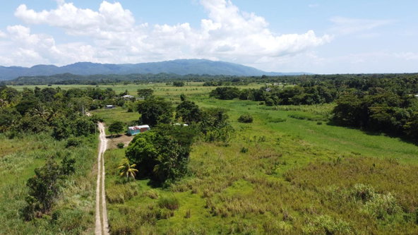 Seventh image of 161- Bath Pen, Sav in Savanna-La-Mar, Westmoreland, Jamaica - property is For Sale