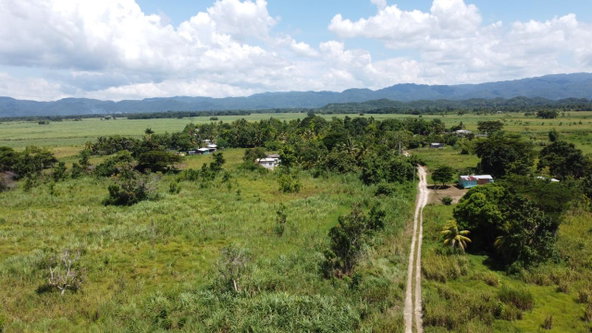 Eighth image of 161- Bath Pen, Sav in Savanna-La-Mar, Westmoreland, Jamaica - property is For Sale