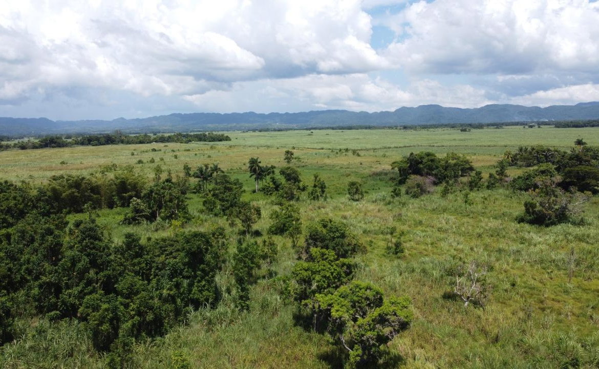 Ninth image of 161- Bath Pen, Sav in Savanna-La-Mar, Westmoreland, Jamaica - property is For Sale
