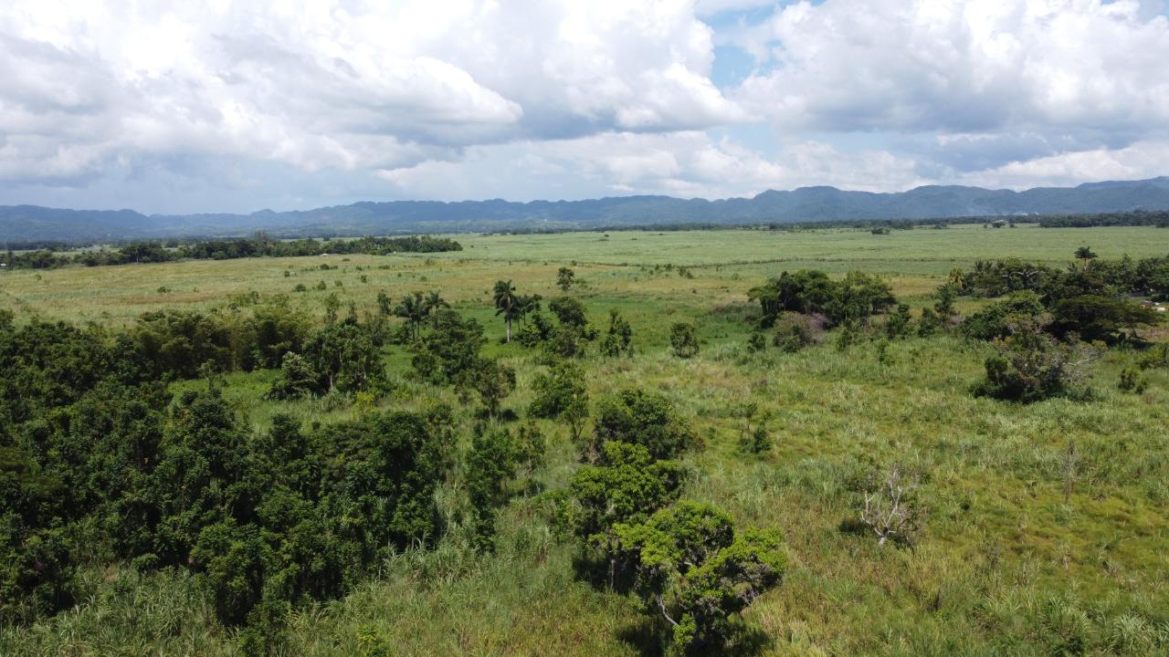 Ninth image of 161- Bath Pen, Sav in Savanna-La-Mar, Westmoreland, Jamaica - property is For Sale