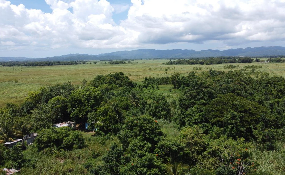 Tenth image of 161- Bath Pen, Sav in Savanna-La-Mar, Westmoreland, Jamaica - property is For Sale