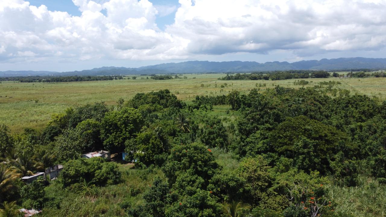 Tenth image of 161- Bath Pen, Sav in Savanna-La-Mar, Westmoreland, Jamaica - property is For Sale