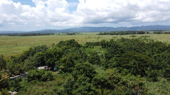Tenth image of 161- Bath Pen, Sav in Savanna-La-Mar, Westmoreland, Jamaica - property is For Sale