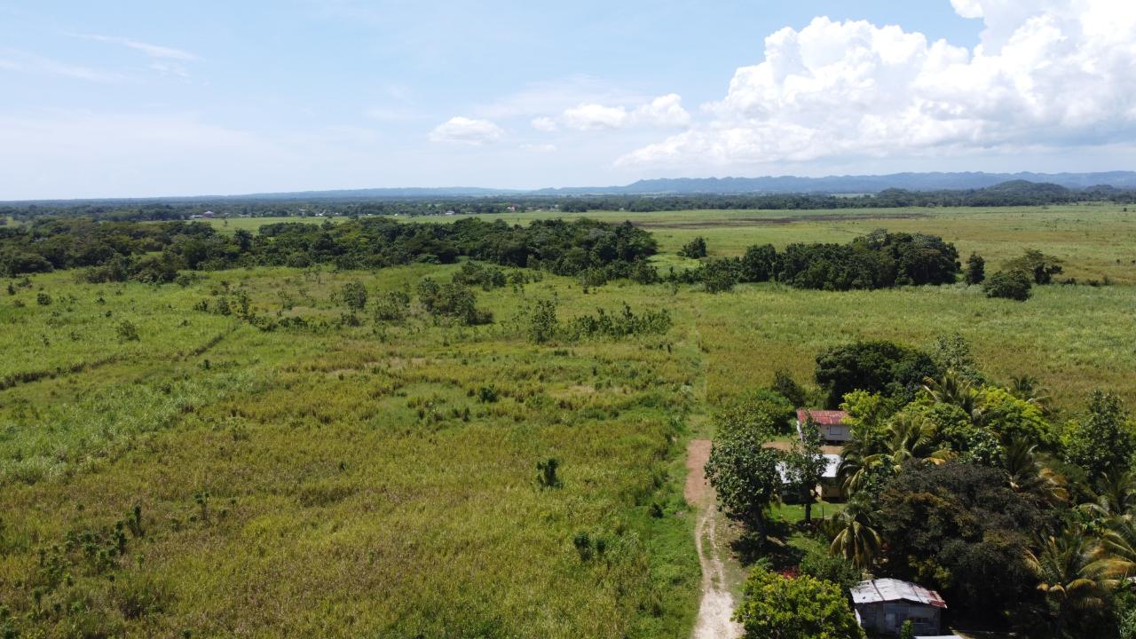 First image of 161- Bath Pen, Sav in Savanna-La-Mar, Westmoreland, Jamaica - property is For Sale