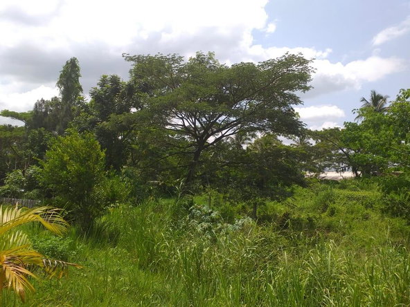 Eleventh image of Shenton, Bog Walk in Shenton, St. Catherine, Jamaica - property is For Sale