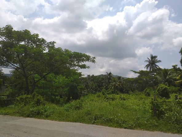 Fifteenth image of Shenton, Bog Walk in Shenton, St. Catherine, Jamaica - property is For Sale