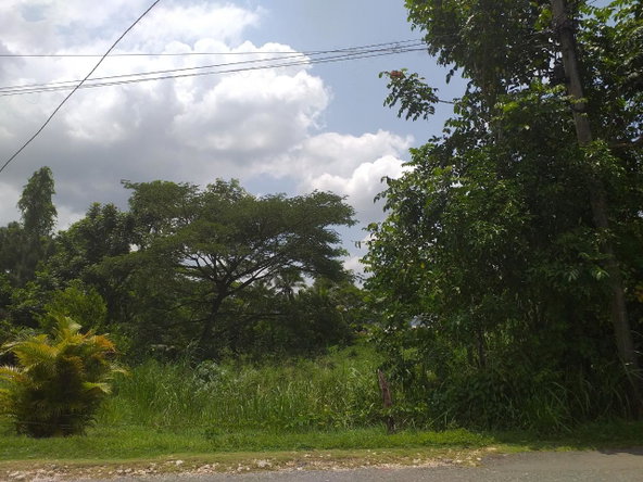 Sixth image of Shenton, Bog Walk in Shenton, St. Catherine, Jamaica - property is For Sale