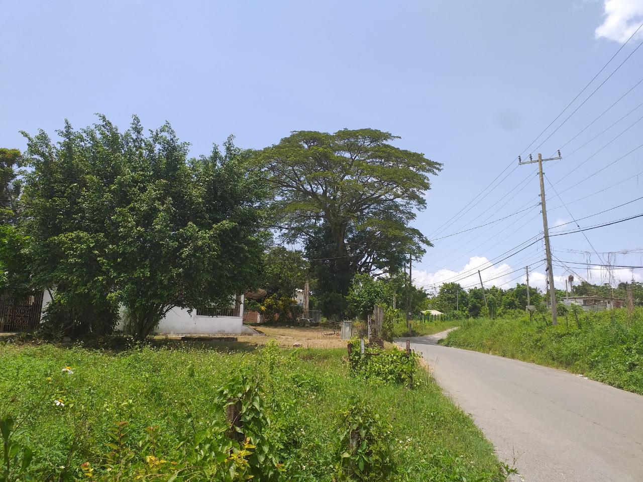 Ninth image of Shenton, Bog Walk in Shenton, St. Catherine, Jamaica - property is For Sale